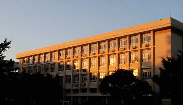 商务配套服务使用建议：环节衔接与问题处理
